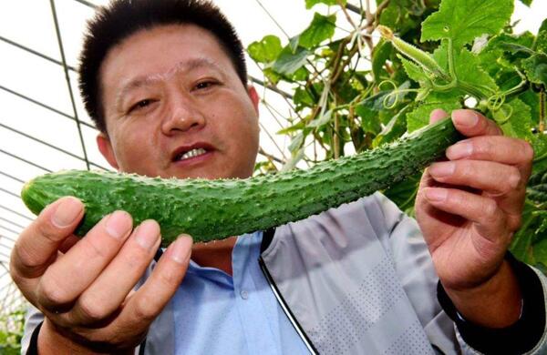 生鮮食材配送為什么大多不能與客戶建立長(zhǎng)期合作？